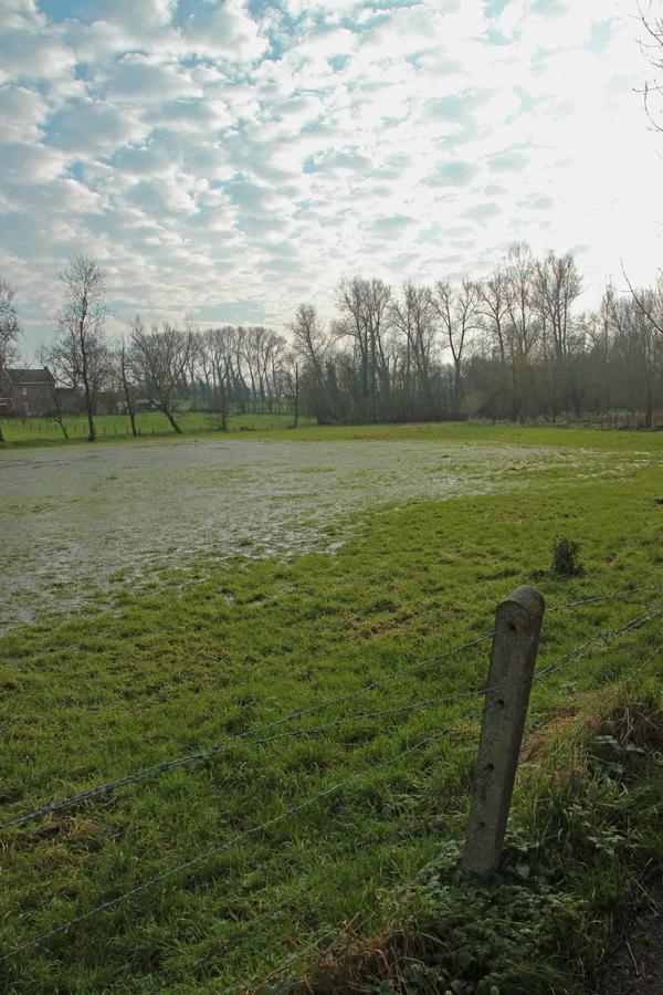 B&B Dotter 17 Erpe-Mere Zewnętrze zdjęcie