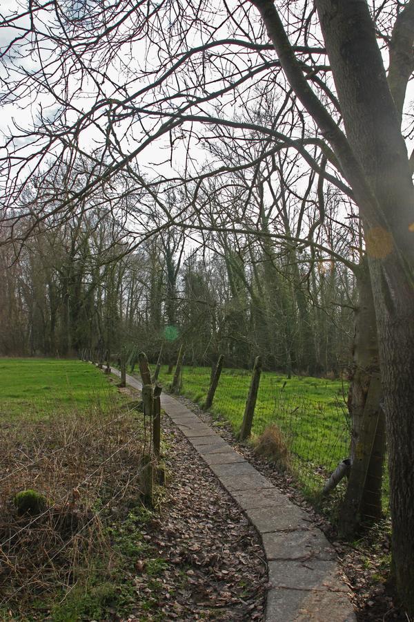 B&B Dotter 17 Erpe-Mere Zewnętrze zdjęcie