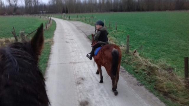 B&B Dotter 17 Erpe-Mere Zewnętrze zdjęcie